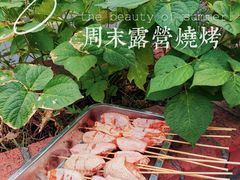-重庆睡佛山森林公园