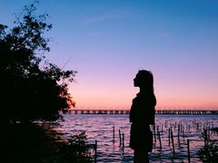 -宝安西湾红树林湿地公园