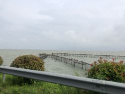 -水八仙生态园