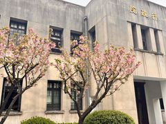 -南京中国近代史遗址博物馆(南京总统府)