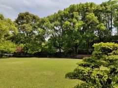 -申粤轩酒楼·三十年粤菜经典(丁香花园店)