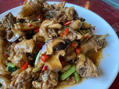 现杀果园鸡—黄焖鸡-生态苑农庄(十里画廊遇龙河店)