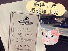 -迪士尼乐园停车场