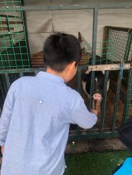 -小蜜蜂农场(凯德七宝购物广场店)