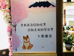 -柴源莊·柴小宠柴犬咖啡