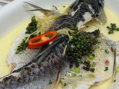 -禄福山庄•顺德菜·融和菜(龙江店)