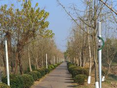 -白鹭湾湿地公园
