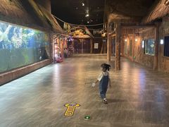 -华夏文旅海洋公园