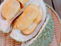 -榴莲BB 四季果园