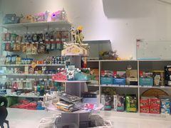 -BABYDOG宝贝狗宠物乐园(欧洲城店)