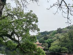 -圆蛋酒料•生腌(开元路店)