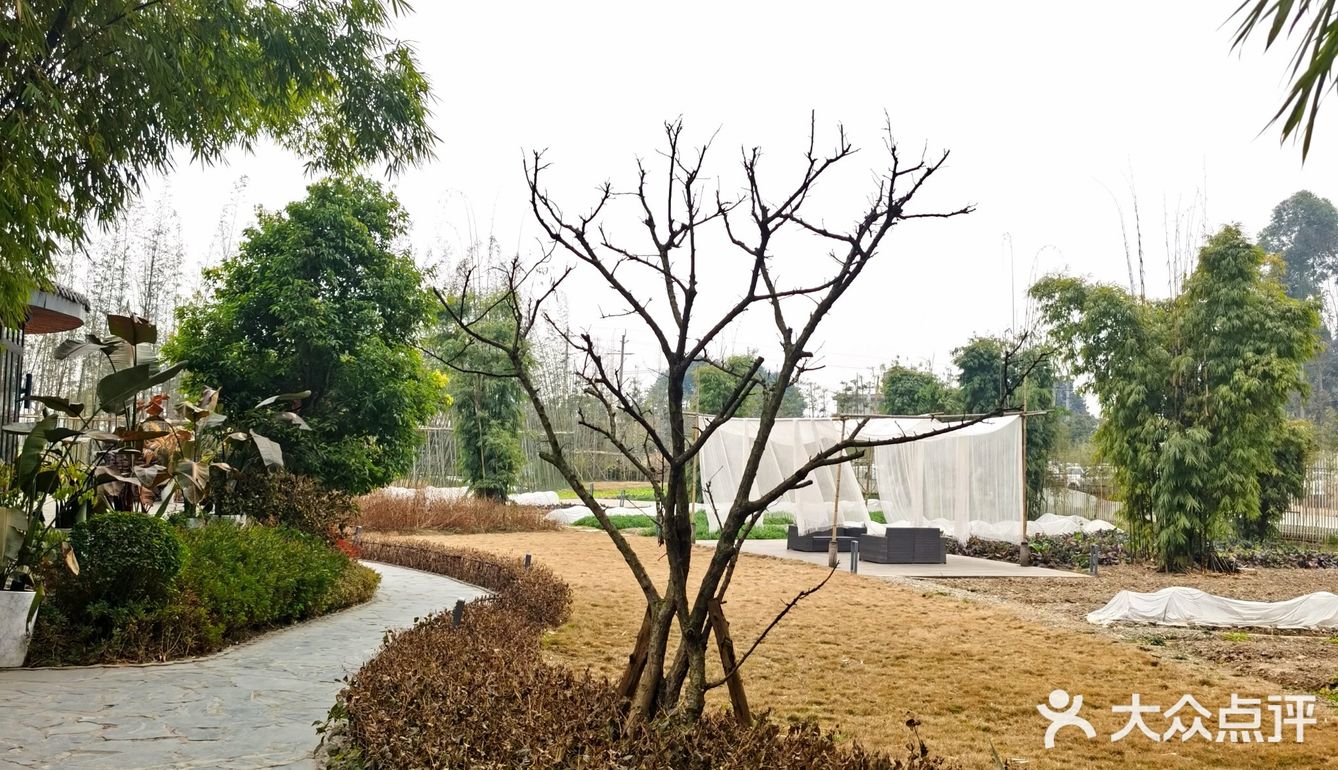 周末遛娃放电|崇州鲜道幸福里