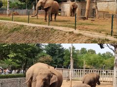 -石家庄市动物园