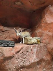 -Zoolung Zoolung动物主题公园(海信广场店)