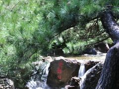 -山叶口景区