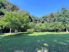 -杭州植物园