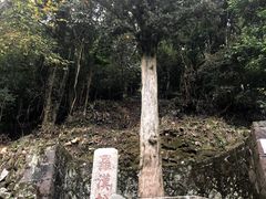 -安溪清水岩