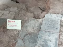 -南越王博物院(王宫展区)