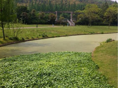iphone_upload_pic-上海佘山茂御臻品之选酒店(原佘山艾美酒店)
