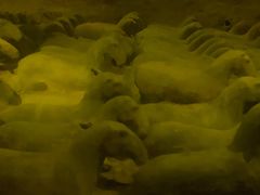 -汉景帝阳陵博物院