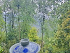 -青城山