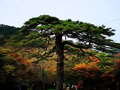 -黄山风景区