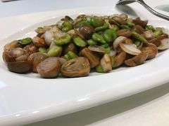 草菇-冶春茶社(星汉大厦店)