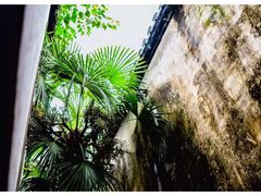 -乌镇东栅景区