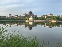 -莲花池公园