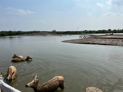 -宁波杭州湾国家湿地公园