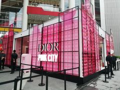 -Dior迪奥(上海世茂广场店)