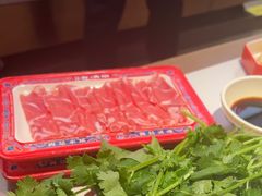 -董记老清泉·鲜切涮羊肉(窑岭店)