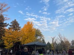 -晋祠公园
