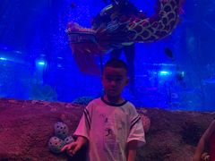 -沈阳海洋探索中心