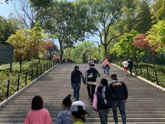 -上海佘山国家森林公园西佘山园