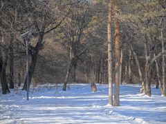 -长春市南湖公园