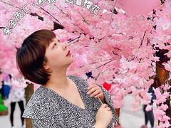 -金茂览秀城
