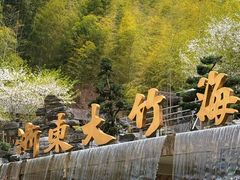 -宁波浙东大竹海景区