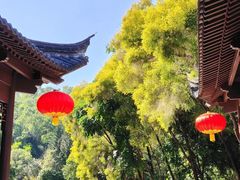 -深圳国际园林花卉博览园