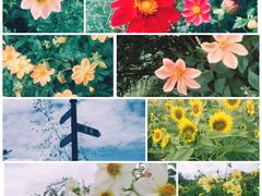 -名花谷生态庄园
