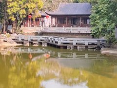 -深圳国际园林花卉博览园