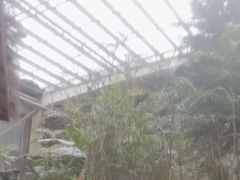-龙达温泉生态城