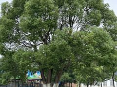 -千龙湖生态旅游度假区