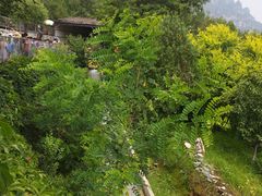 -十渡高山漂流