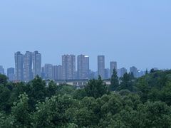 -西湖风景区-江洋畈生态公园