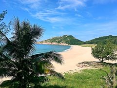 -广东惠东海龟国家级自然保护区