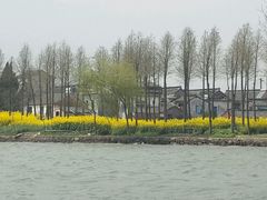 -溱湖国家湿地公园