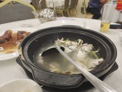 -姚林轩