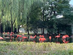 -石家庄市动物园