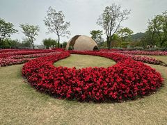 -苏州上方山国家森林公园